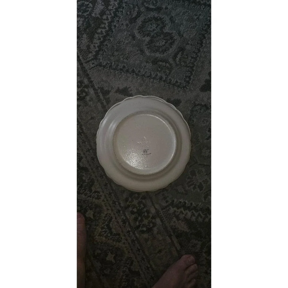Pfaltzgraff dinnerplate  featuring a beige  with a scalloped edge. Set of 2